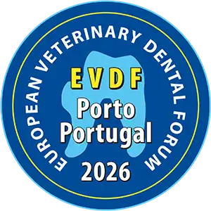Program for Porto 2026
